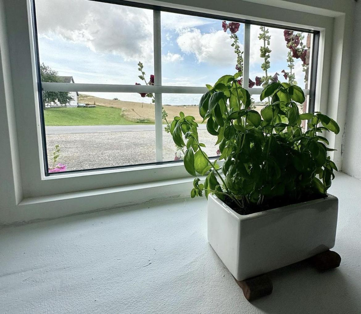 Lilla Stenhuset Ystad község Kültér fotó
